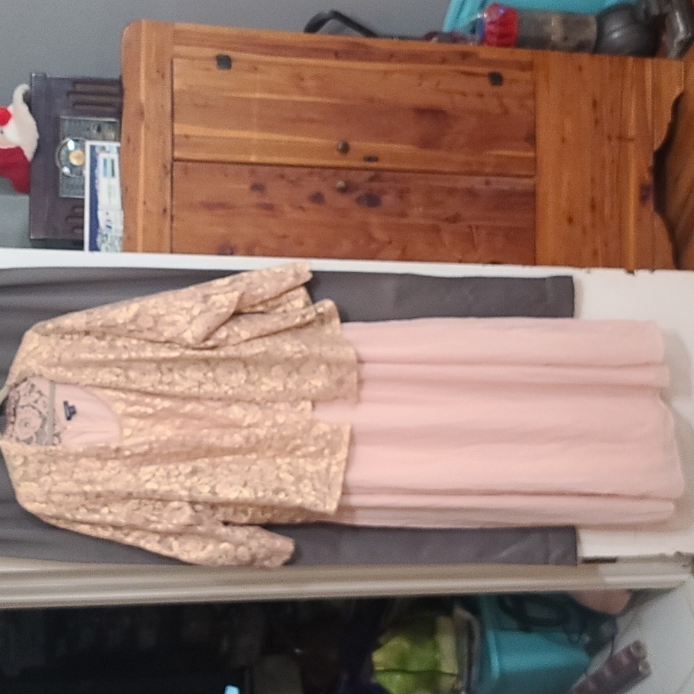 Roaman's‎ Womens Plus Size Formal Dress Mother of the Bride Peacht Tan Sz 40 EUC